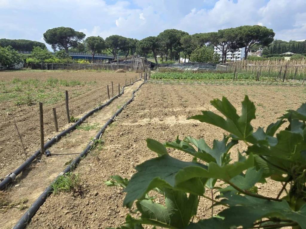 Terreno a Città sant'angelo in VIA BERLINGUER - Foto 2