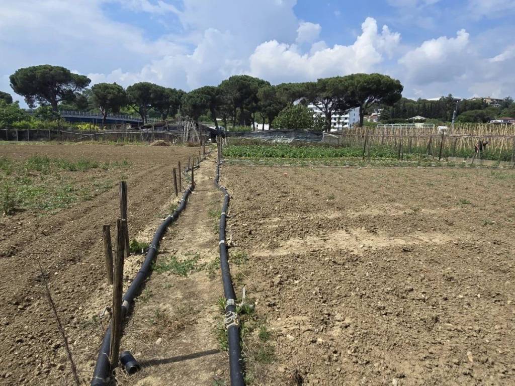 Terreno a Città sant'angelo in VIA BERLINGUER - Foto 3