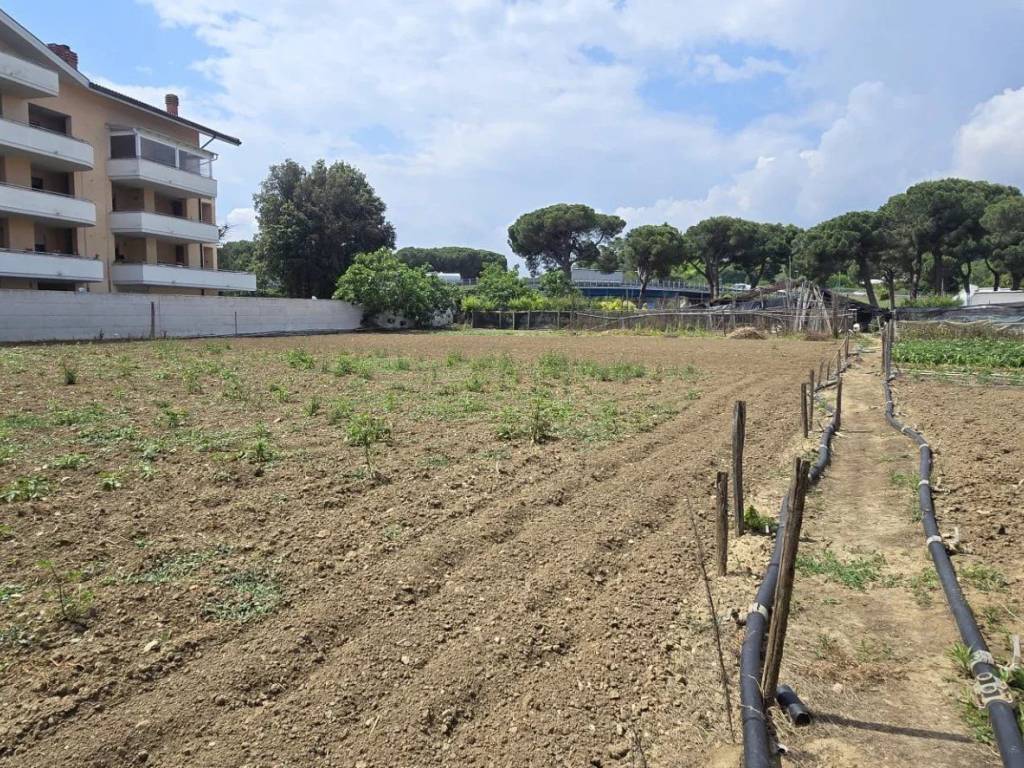 Terreno a Città sant'angelo in VIA BERLINGUER - Foto 5