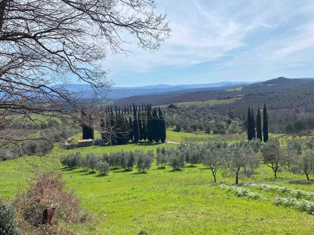 Terreno a Roccastrada in via aratrice - Foto 2