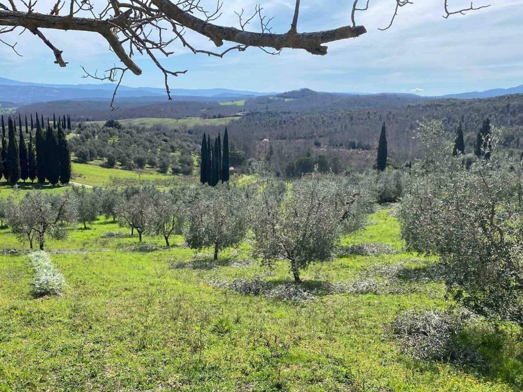 Terreno a Roccastrada in via aratrice - Foto 3