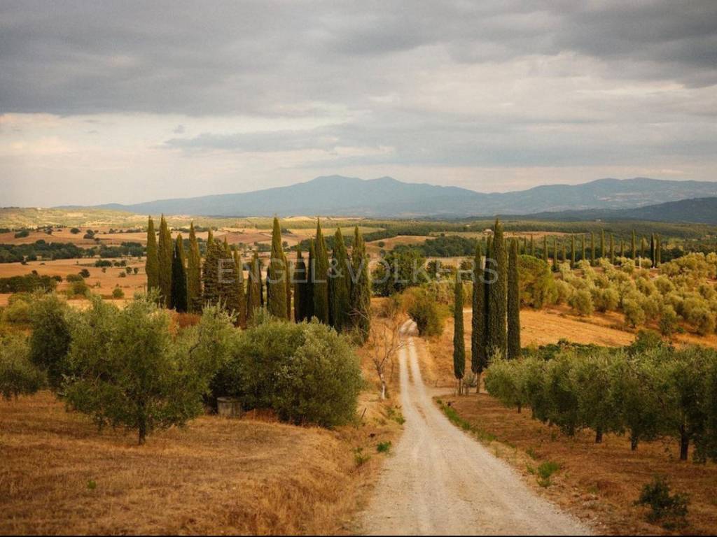 Terreno a Roccastrada in via aratrice - Foto 4