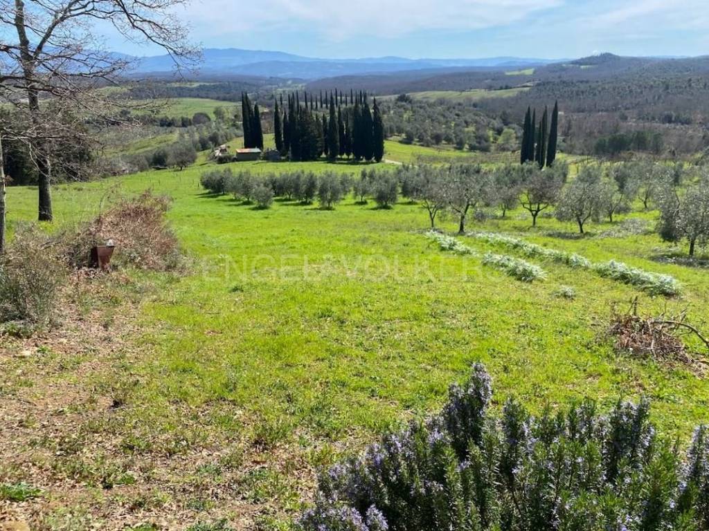 Terreno a Roccastrada in via aratrice - Foto 5