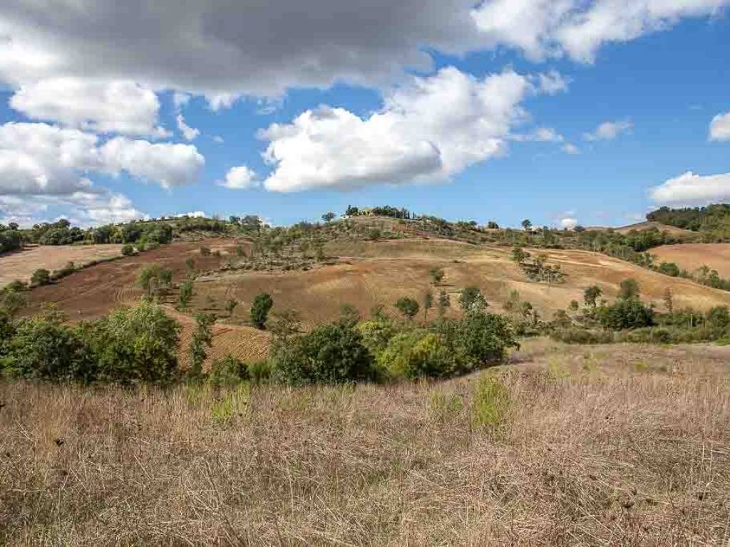 Terreno a Capalbio - Foto 3