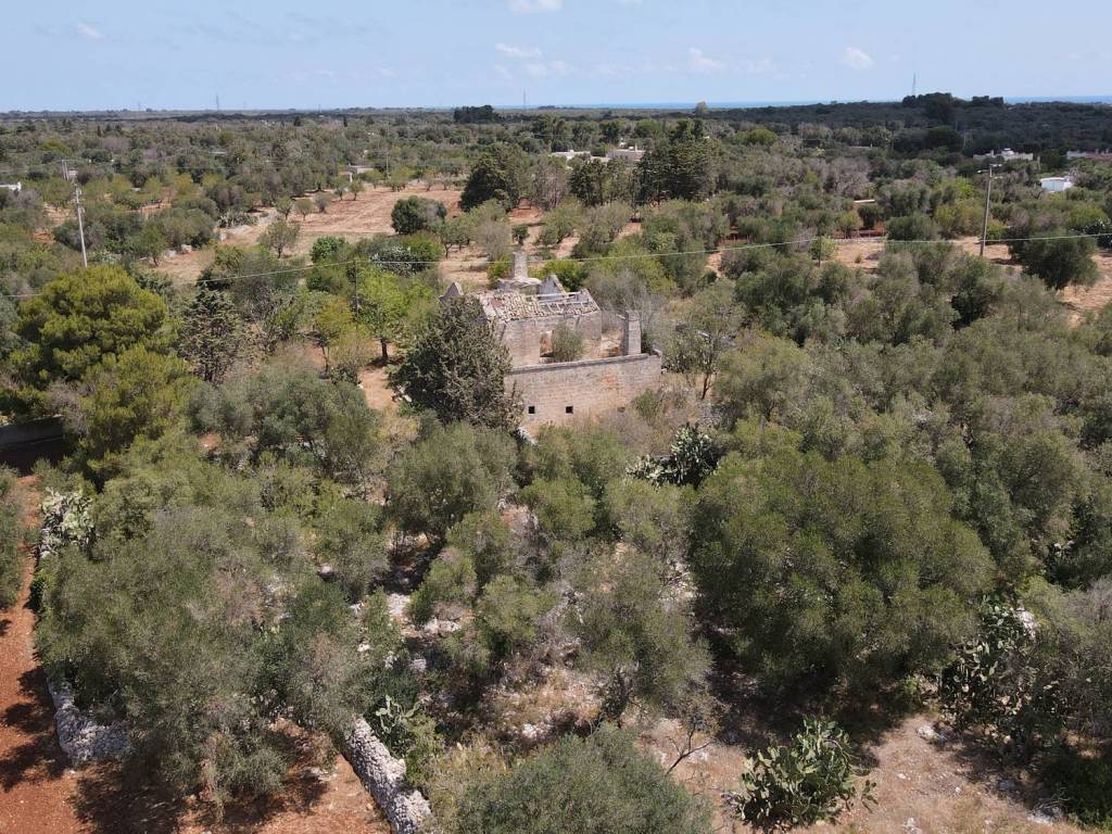 Rustico / casale a San vito dei normanni in Contrada Poggioreale - Foto 3