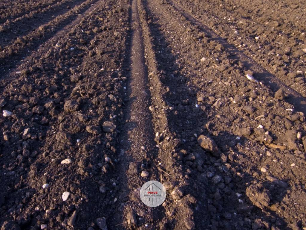 Terreno a Latina in Strada Acque Alte, 165 - Foto 2