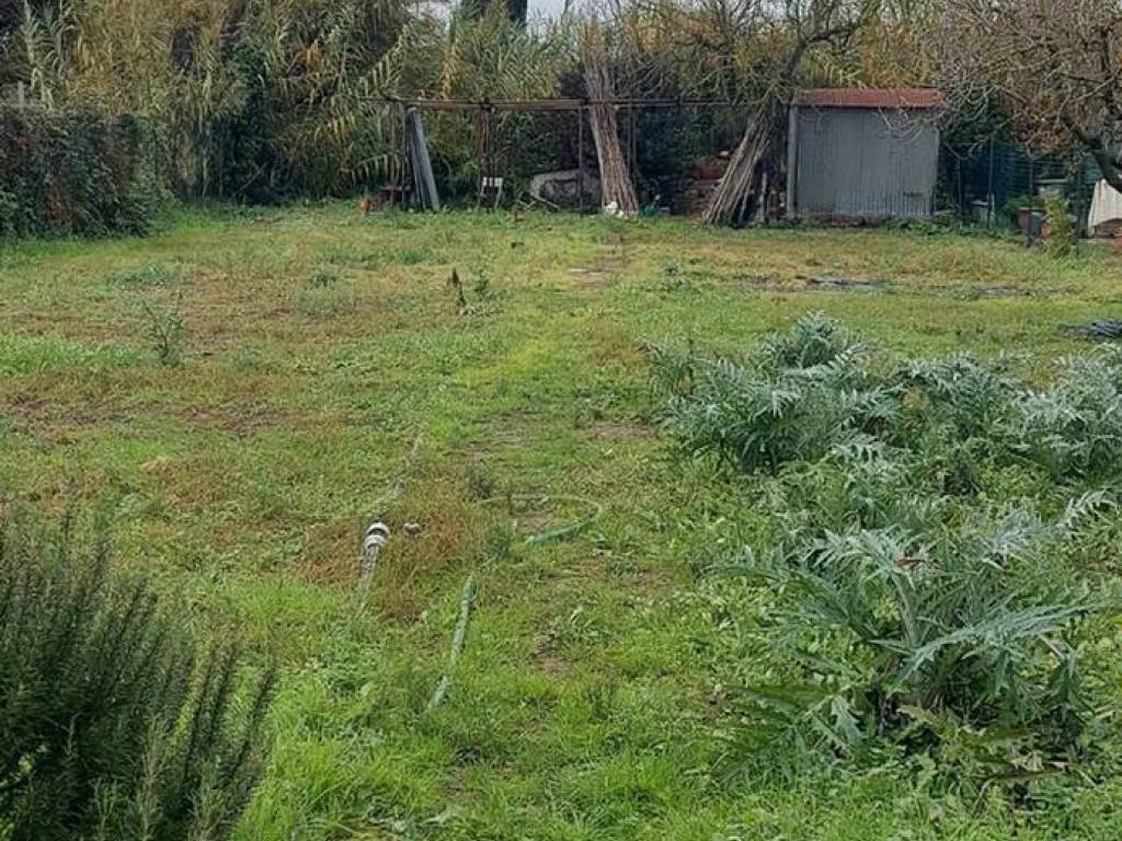 Terreno a Follonica - Foto 2