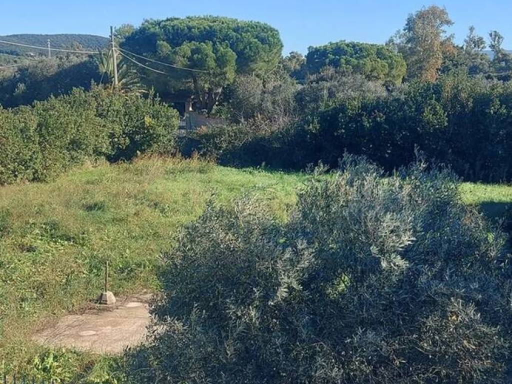 Terreno a Follonica - Foto 3