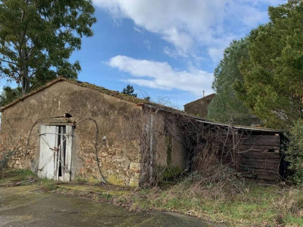 Rustico / casale a Massa marittima - Foto 5