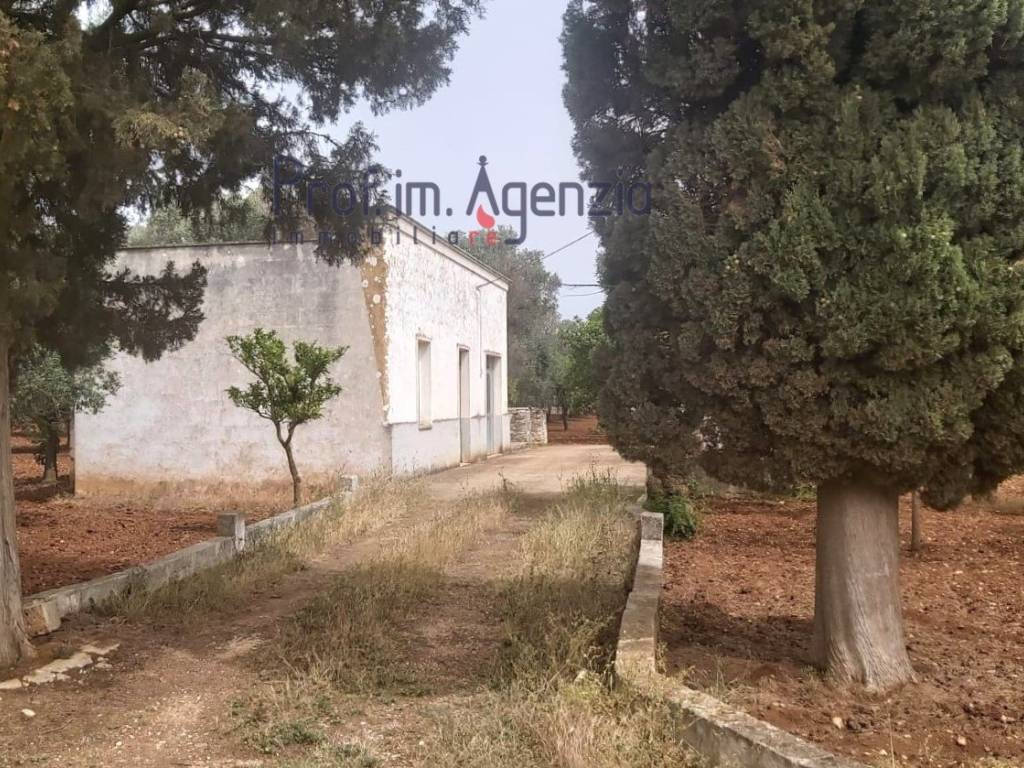 Rustico / casale a San vito dei normanni - Foto 5