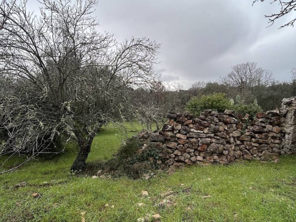 Rustico / casale a Ceglie messapica in Galante Menzella - Foto 2