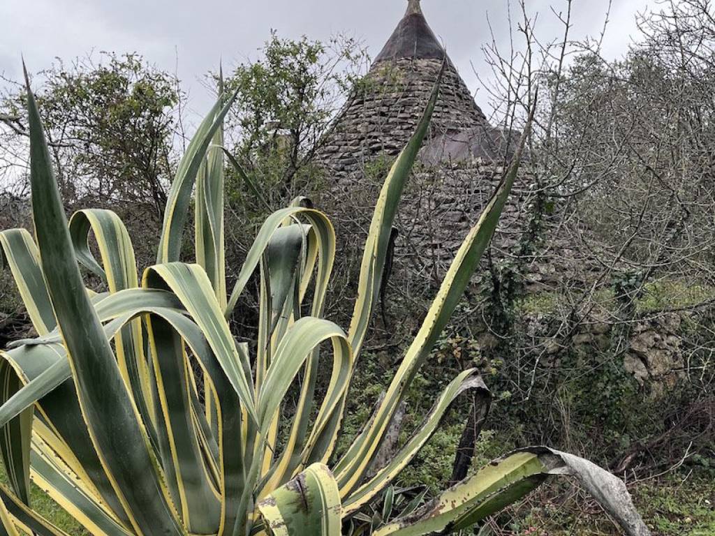 Rustico / casale a Ceglie messapica in Galante Menzella - Foto 3