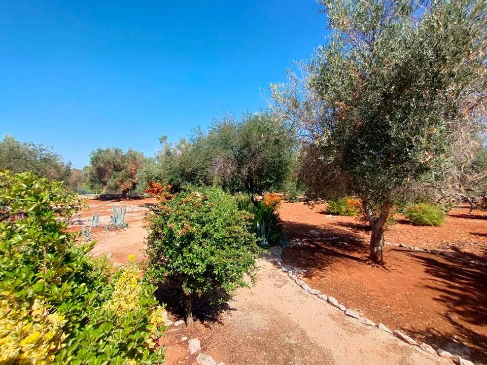 Villa a Ostuni in SP29 - Foto 3