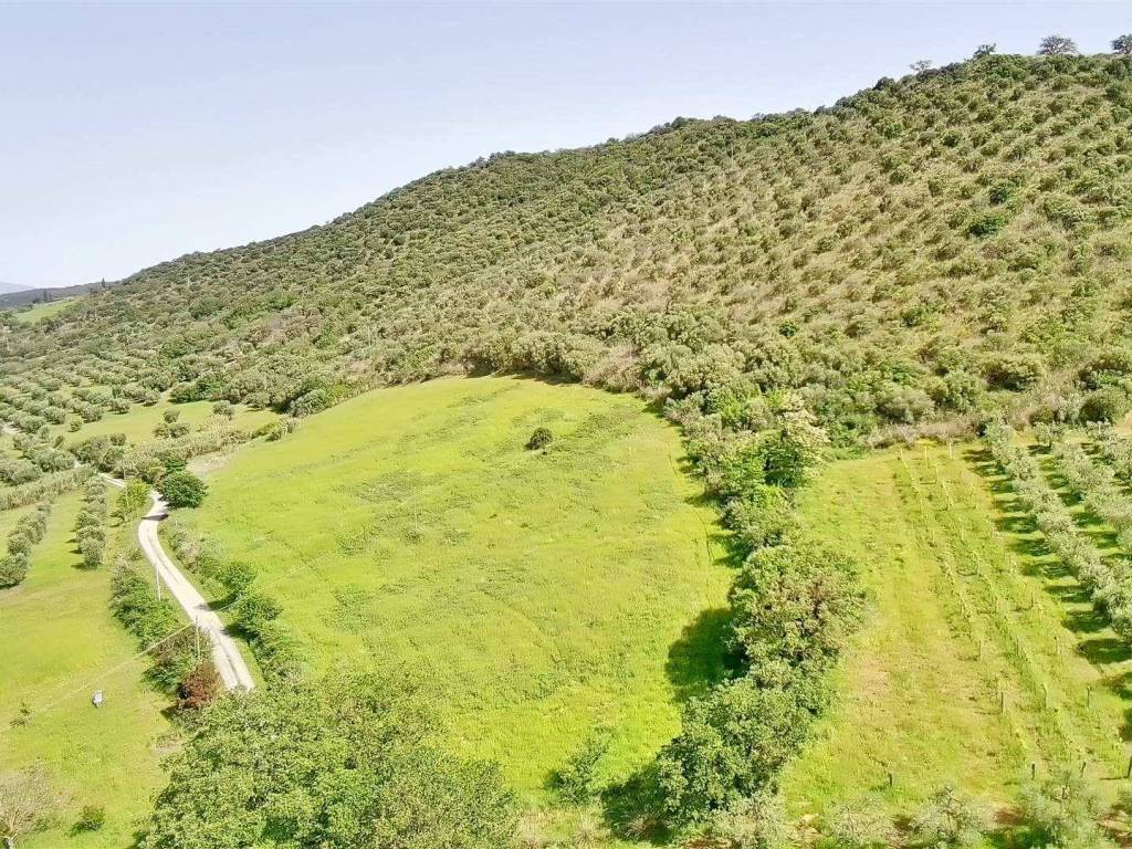 Rustico / casale a Cinigiano - Foto 3