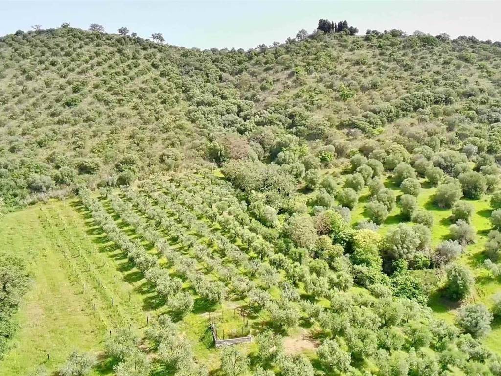 Rustico / casale a Cinigiano - Foto 4