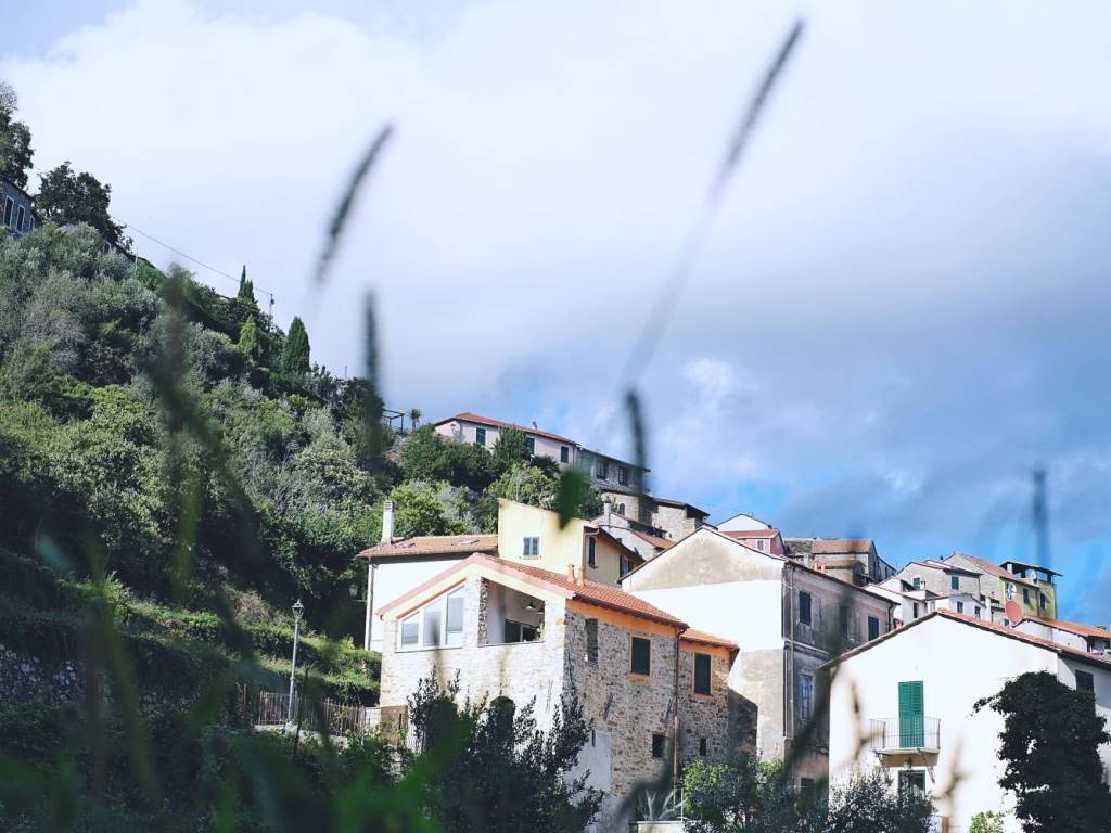 Rustico / casale a Diano arentino in Via Principale, 29 - Foto 2