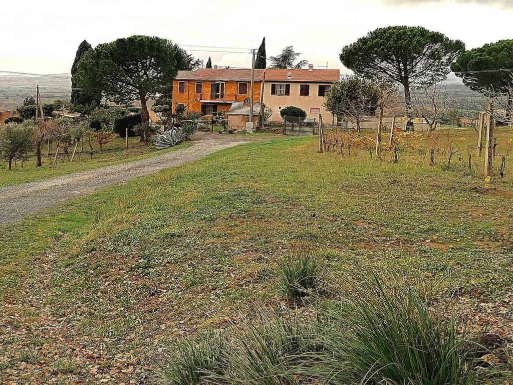 Immobile a Cinigiano in OLTRE LOCALITA' GRANAIONE - Foto 2