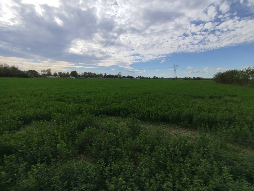 Terreno a Carpi - Foto 2