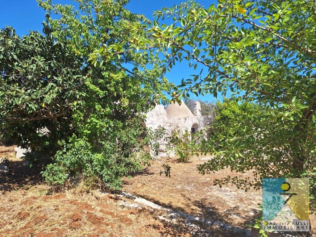 Rustico / casale a Ostuni in Contrada Boccadoro - Foto 3