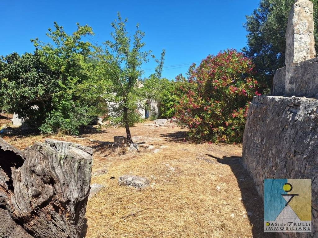 Rustico / casale a Ostuni in Contrada Boccadoro - Foto 4