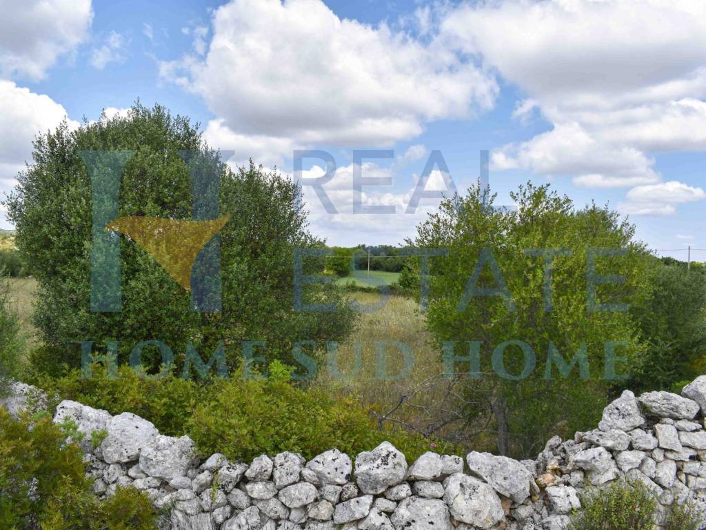 Terreno a Noto in Via Tommaso Fazello, 228 - Foto 3