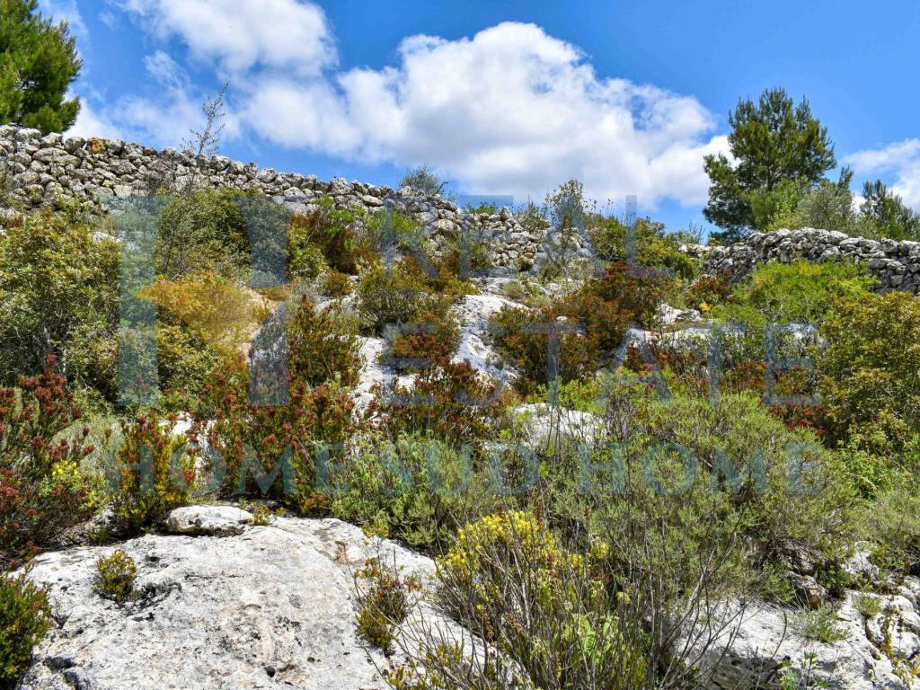 Terreno a Noto in Via Tommaso Fazello, 228 - Foto 4