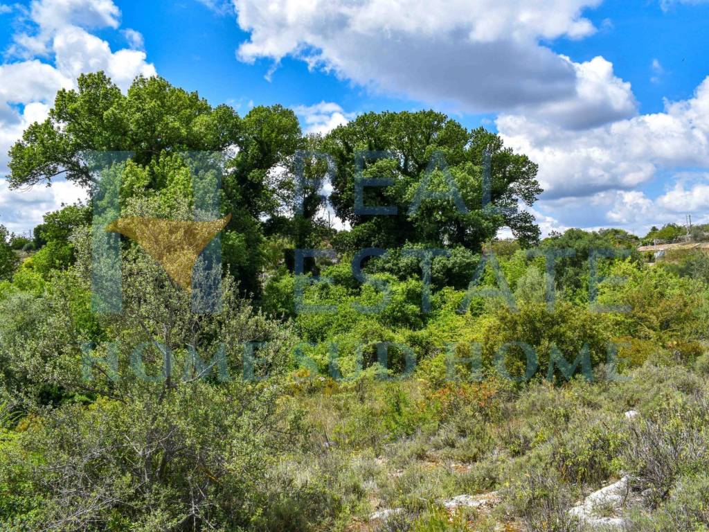 Terreno a Noto in Via Tommaso Fazello, 228 - Foto 5