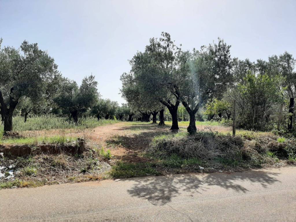 Terreno a Lamezia terme in Contrada Rotoli - Foto 2