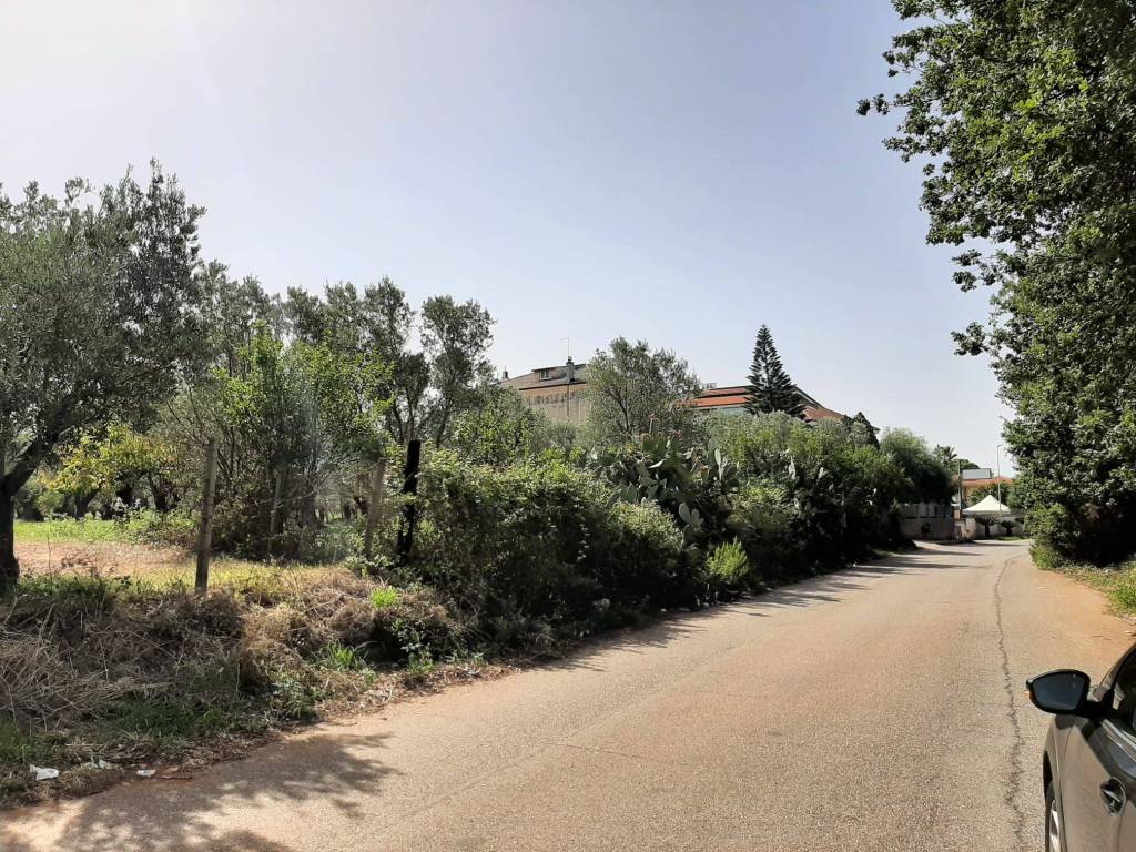 Terreno a Lamezia terme in Contrada Rotoli - Foto 3