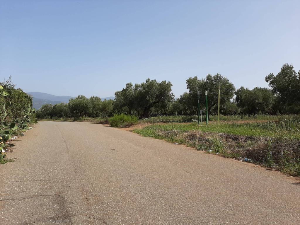 Terreno a Lamezia terme in Contrada Rotoli - Foto 4