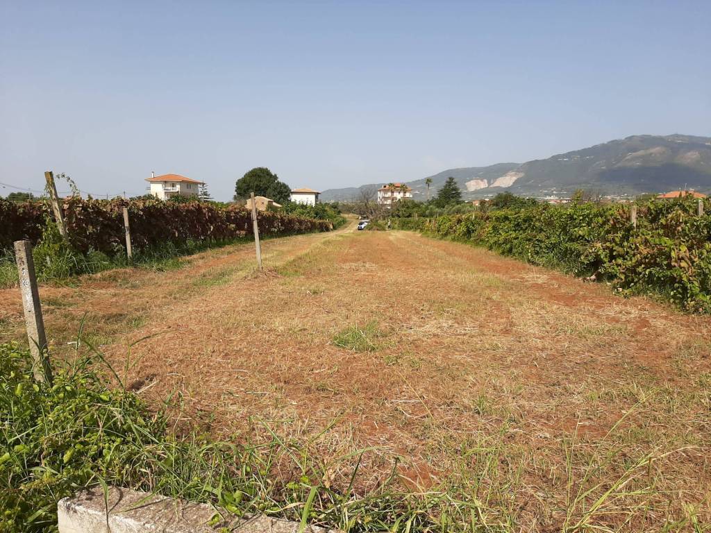 Terreno a Lamezia terme in Via dei Bizantini, 316 - Foto 2