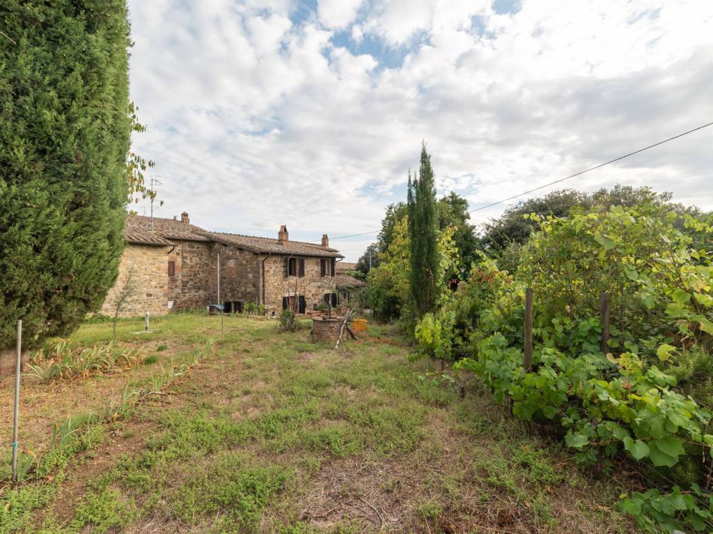 Casa indipendente a Montalcino - Foto 5