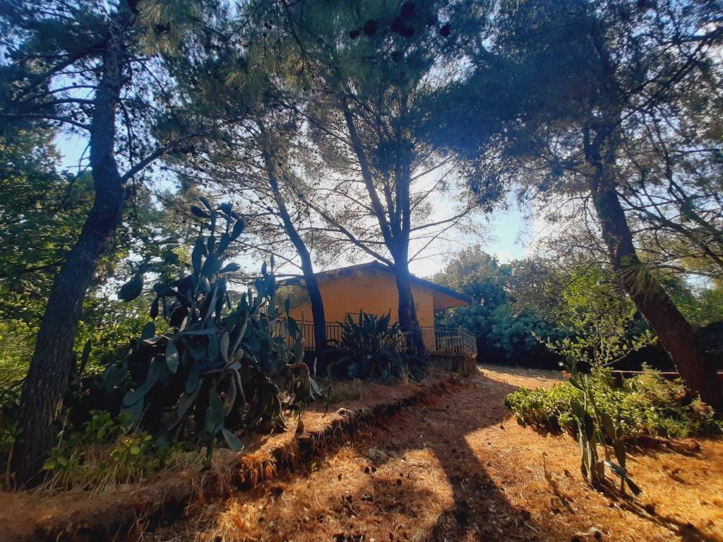 Casa indipendente a Pedara in Via dei Gerani, 37 - Foto 2