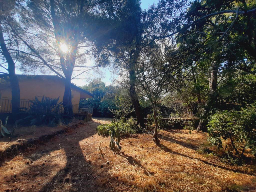 Casa indipendente a Pedara in Via dei Gerani, 37 - Foto 3