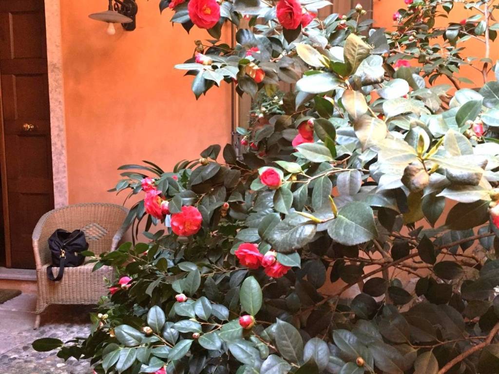 Villa a Cremona in Via Gaspare Aselli, 4 - Foto 2