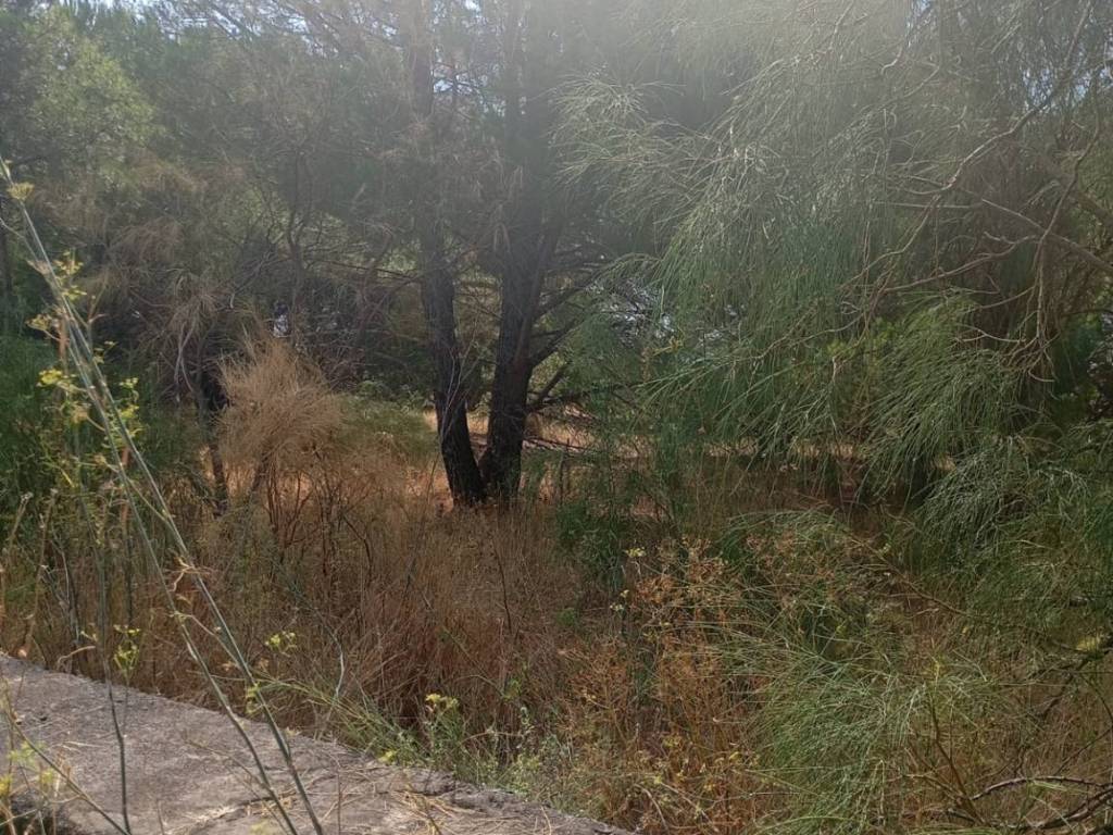 Terreno a Nicolosi in Via Ragalidda - Foto 3