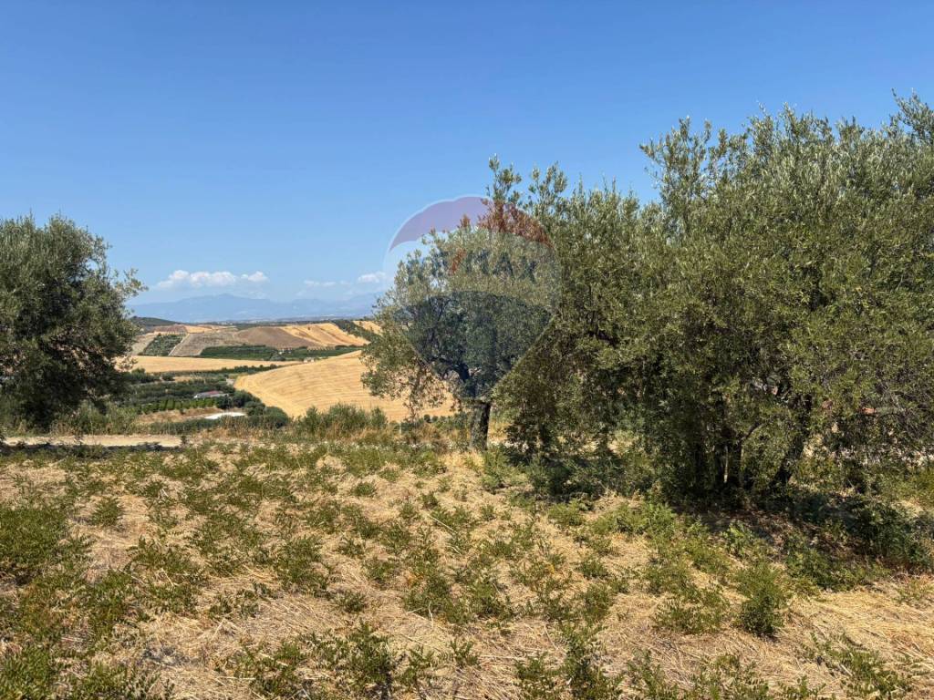 Terreno a Corigliano-rossano in Via Cannata - Foto 3