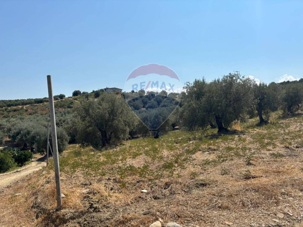 Terreno a Corigliano-rossano in Via Cannata - Foto 5