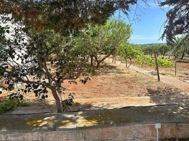 Villa a Cisternino in Contrada Figazzano, 10 - Foto 3