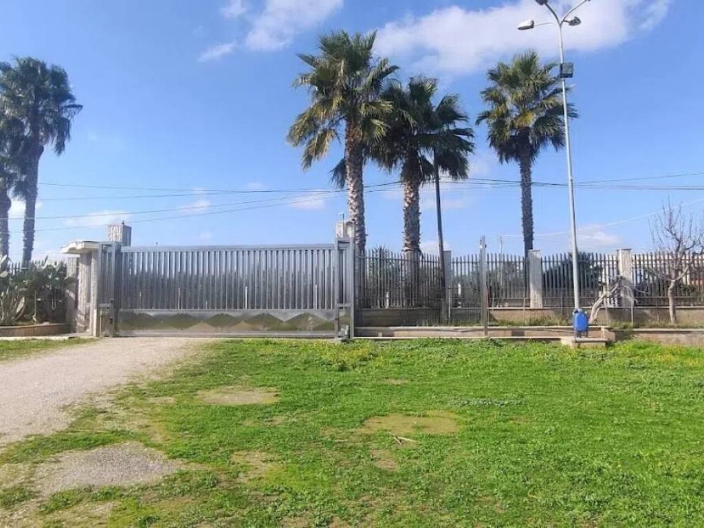 Terreno a Cerignola in Sp143, 59 - Foto 3