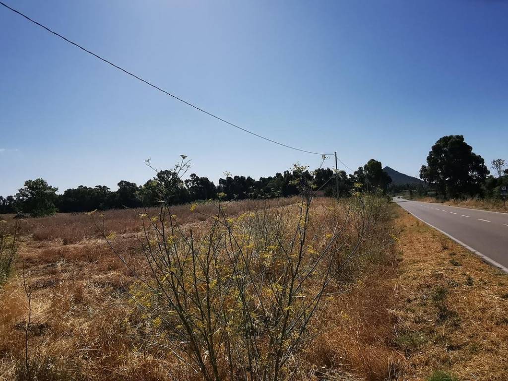Terreno a Castiadas in Località Sitò - Foto 3