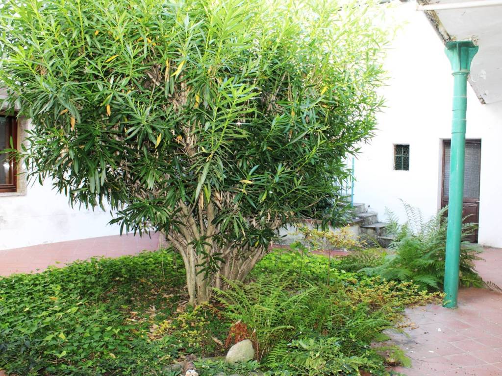 Casa indipendente a Desana in Corso Guglielmo Marconi, 10 - Foto 3