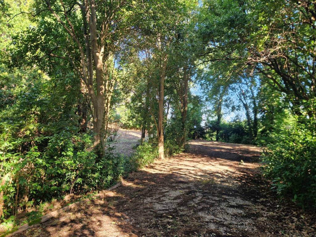 Rustico / casale a San costanzo - Foto 2