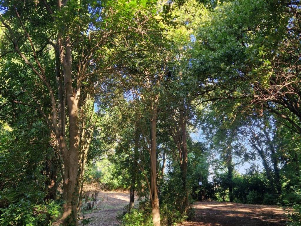 Rustico / casale a San costanzo - Foto 3