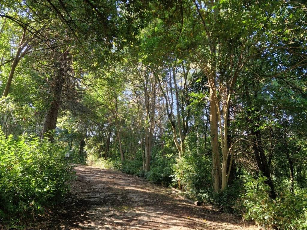 Rustico / casale a San costanzo - Foto 4