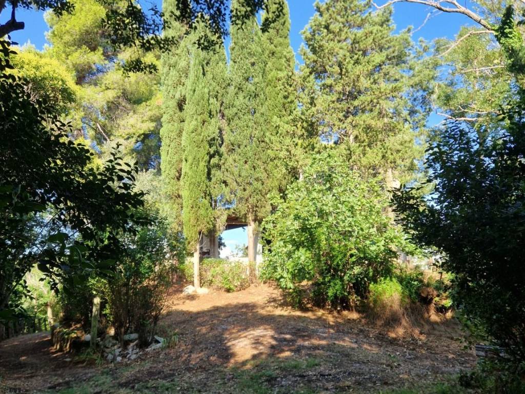 Rustico / casale a San costanzo - Foto 5