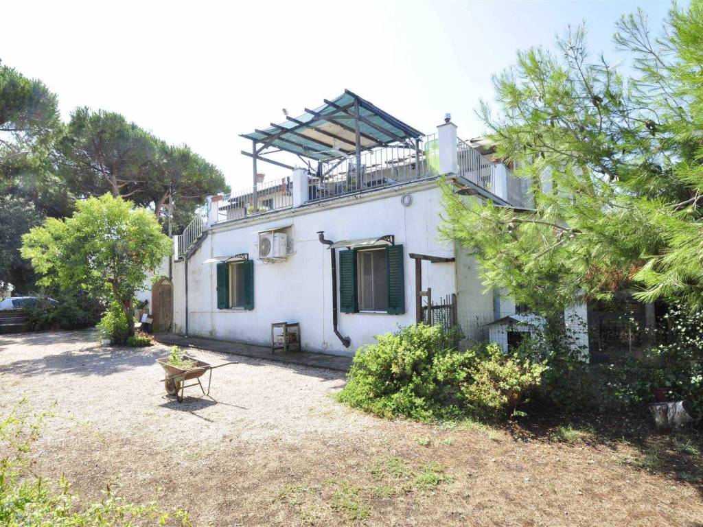 Rustico / casale a Campiglia marittima - Foto 4