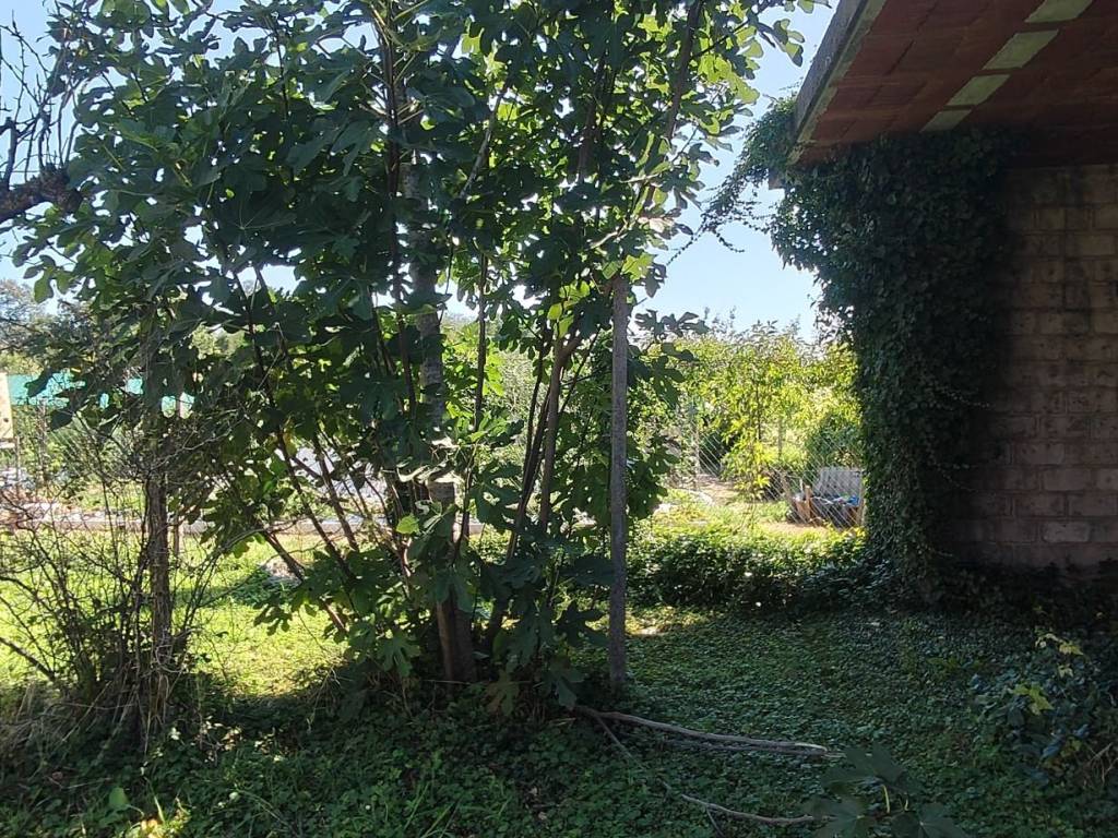 Rustico / casale a Rivignano teor in Via Vittorio Emanuele III - Foto 5