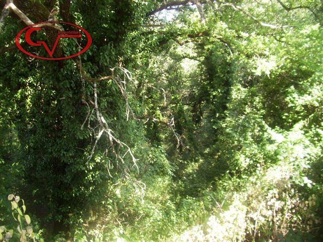 Terreno a Bucine in Via Magiotti - Foto 3