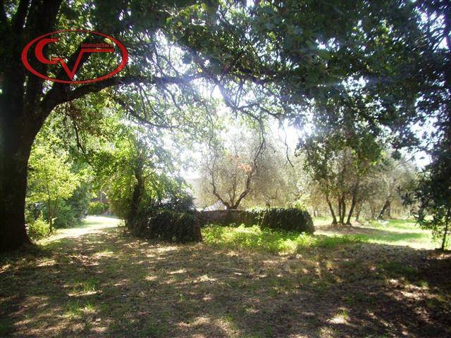 Terreno a Bucine in Via Magiotti - Foto 4